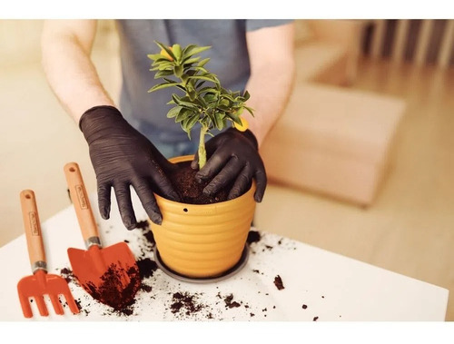 Imagen 3 de 10 de Kit Jardineria Tramontina Palas + Rastrillo + Tijera De 8