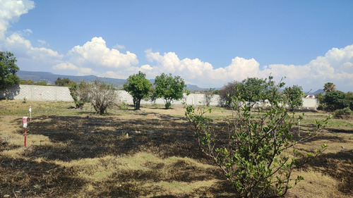 Venta De Terrenos En Tlayacapan, Morelos Todo O En Lotes
