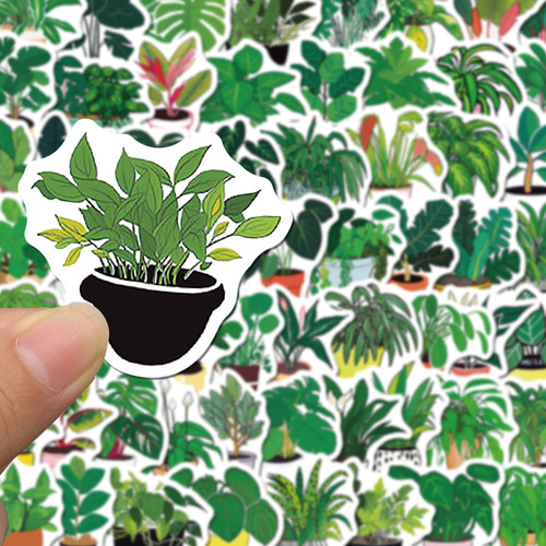 Adesivos De Grafite De Vasos De Plantas Verdes Para Crianças