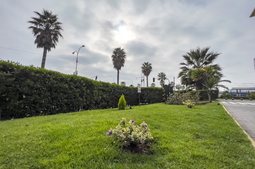 Primera Línea, Viña Del Mar-byhospédate