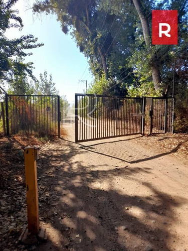 Imagen 4 de 10 de Terreno 5000 M2/ Calle Los Perros/ Talagante