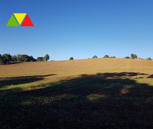 Imagem 10 de 30 de Chácara À Venda Em Contenda, Araucária R$ 500.000,00 - Ch00113 - 68066926