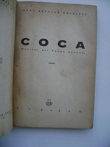 Coca (motivos Del Yunga Pacoño) / Raúl Botelho Gosálvez