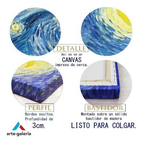 Cuadro Moderno Canvas Craneo Colors 100x100cm