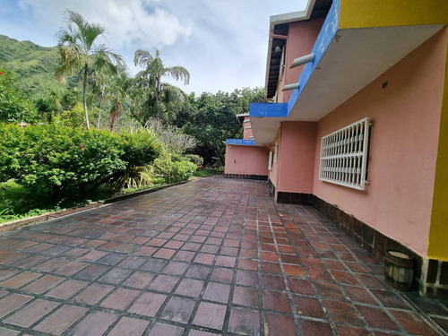 Venta De Quinta En Las Morochas. San Diego 15000 M2. G.g