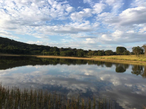 Imagem 6 de 13 de Fazenda Dupla Aptidão Estado De São Paulo