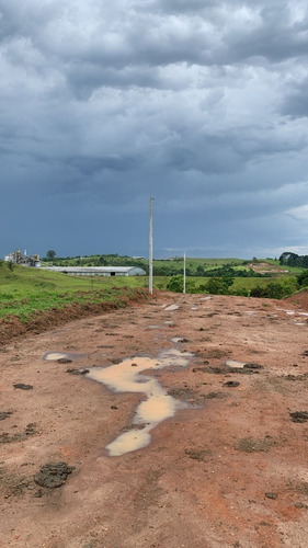 Imagem 5 de 24 de M01- Oportunidade De Ter Sua Casa No Campo