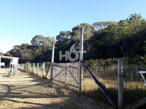 Imagem 1 de 15 de Terreno Comercial - Morro Das Pedras - Ref: 1561 - V-hi72388