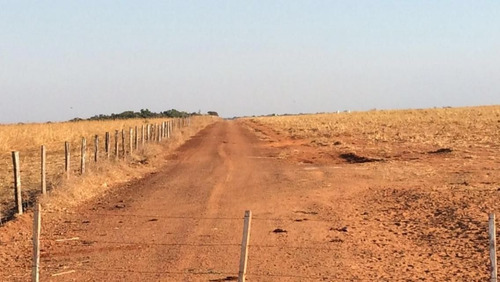 Imagem 6 de 14 de Vendo Fazenda Regiao Santiago Do Norte -prazo Longo (6124)