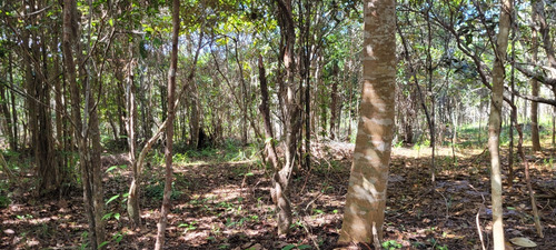 Lote A Venda Em Itacaré Com 2000mts2 Bairro Aderno