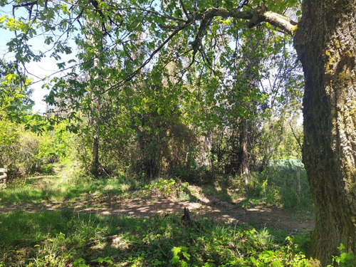 Hermosa Parcela En Venta En Gorbea