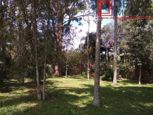 Imagem 1 de 12 de Terreno - Te00008 - 69258914