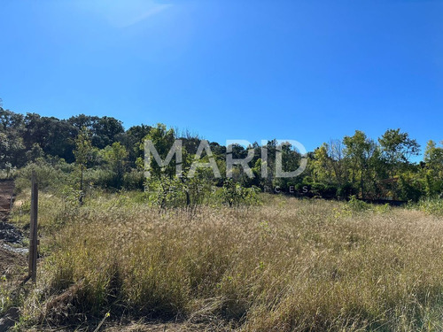 Terreno En Venta Ex Hacienda La Huerta