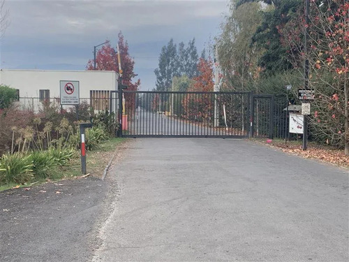 Vendo Parcelas De 5000 M2 En El Mejor Sector De Talagante