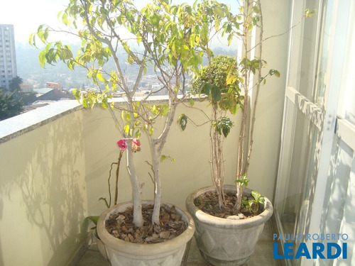 Imagem 11 de 15 de Apartamento - Morumbi - Sp - 550508