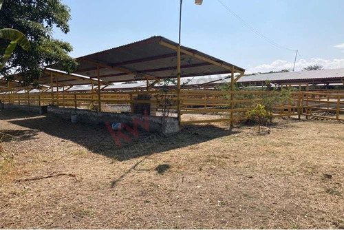 Venta De Increíble Rancho Al Mejor Precio En Tetecala, Morelos,ideal Para Inversionistas Y Ganad...