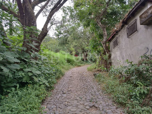 Venta De Terreno Campestre En Suchitlán Calle Clavel Fraccion A Lote 282