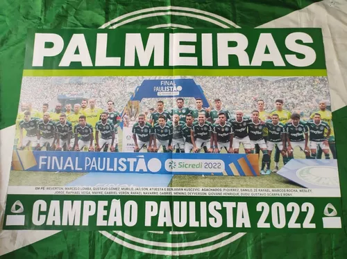 Baixe o pôster do Palmeiras campeão paulista de 2022 - 03/04/2022 - Esporte  - Folha