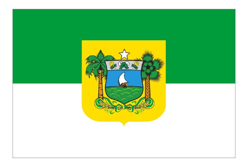 Adesivo Bandeira Rio Grande Do Norte Resinado 4x6cm Bd37