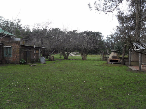 Imagen 8 de 30 de Latorre Prop Vende Campo De 4 Hectareas,cerca De La Ruta 11,del Mar Y Playas,varios Usos,hermosa Arboleda