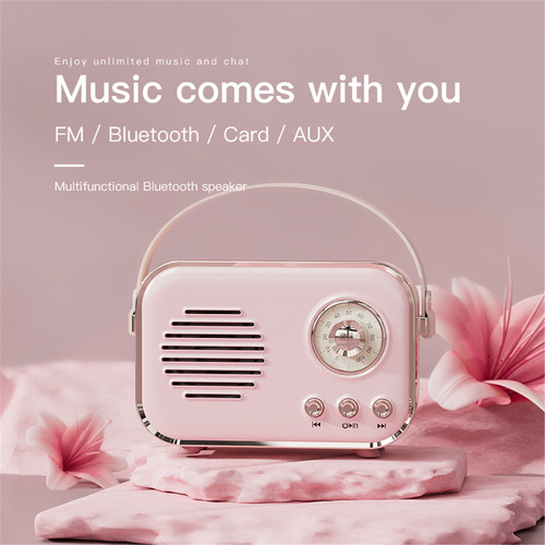 Radio Fm Portátil Multifuncional Con Funciones De Karaoke