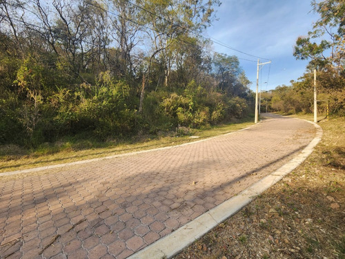 Venta Lote Gladiola 42 Con Vistas Panorámicas Y Todos Los Servicios Y Proyecto Incluído. A Unos Pasos De Las Amenidades En Nueva Zona De Fracc Rancho San Diego Ixtapan De La Sal Edomex