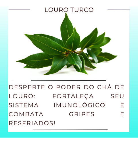 Gítimo Ouro P Chá | Ouro-nobr 100% Natural Folhas Scas