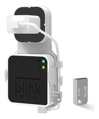 Memoria Usb Blink De 256 Gb Para Almacenamiento De Video Loc