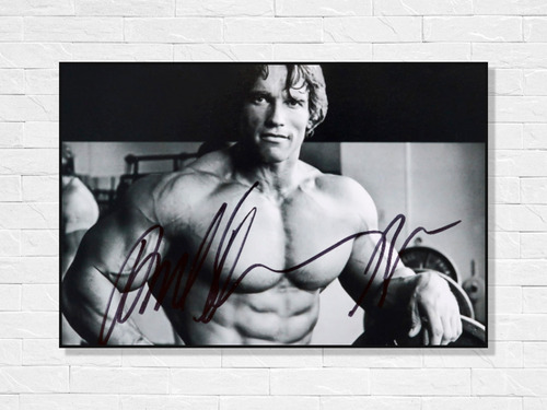 Cuadro Decorativo Arnold Gym 3 