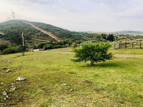 Quinta En Venta De 4 Dormitorios En Maldonado