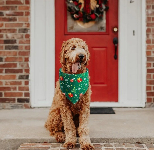 Bandanas Navideñas Para Perros, Paquete 2 Bufandas Talla G
