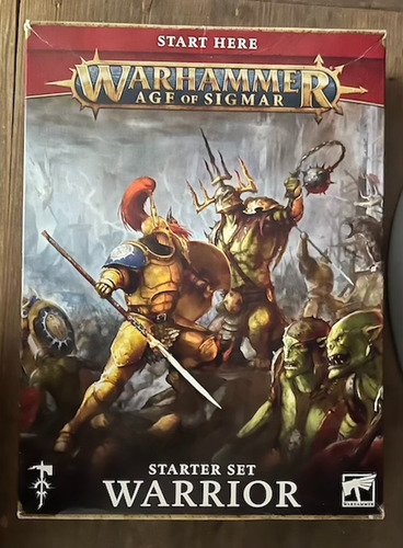 Figuras Pintadas Warhammer Age Of Sigmar Warrior Starter