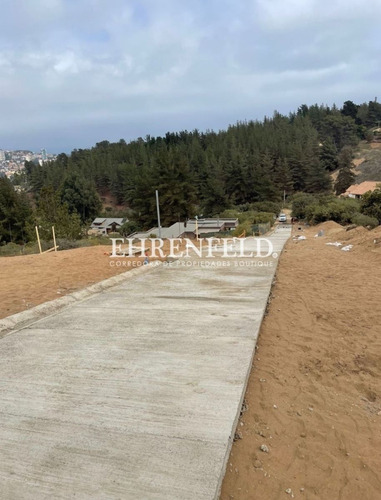 Reñaca, Los Almendros. Terreno Con Excelente Conectividad.