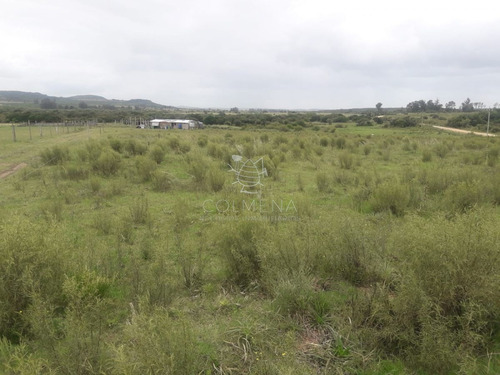 Imagen 2 de 16 de Campo De 5 Has Con 5891 M2 - San Carlos