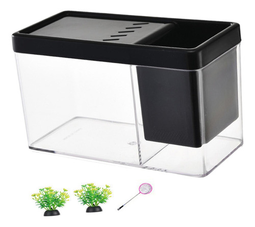 Mini Acuario Transparente Para Decoración De Negro