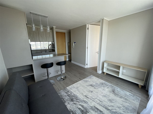 Departamento En Arriendo Año Corrido En Coquimbo