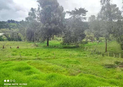 Lote y casalote en venta