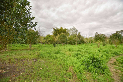 Imagen 10 de 15 de Terreno En Venta La Plata