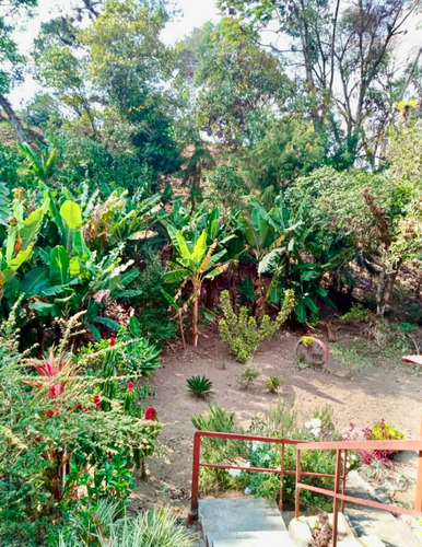 Se Vende Casa En Boconó, Sëctor Mosquey 2.200 M2 De Terreno 3h, 2b, 4 Ptos, Anexo Con Baño