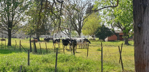 Imagen 8 de 28 de Terreno En Venta O Permuta Ubicado En General Rodríguez, General Rodríguez