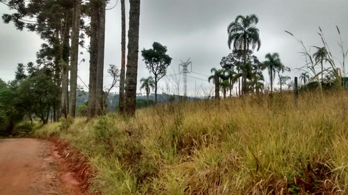 Lotes Próximo Ao Centro 