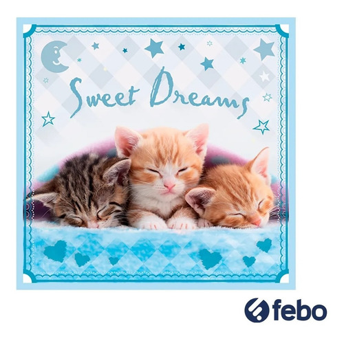 Juego Puzzle Gatitos 3 En 1 Trefl 50 Piezas Para Niños Febo