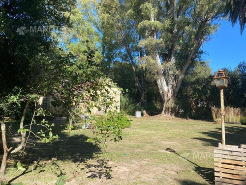Imagen 4 de 9 de Lote En Venta En Maaschwitz- Maroto Propiedades
