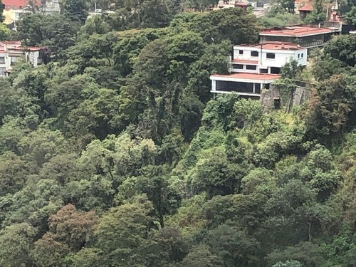 Imagen 3 de 22 de Increíble Jr Ph En Real Del Bosque Tabachines