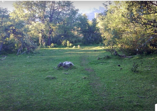 Chacra Cerca De Rio Pico. Chubut