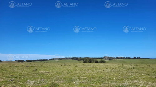 Venta Chacra Jose Ignacio Con Costa Arroyo Anastasio