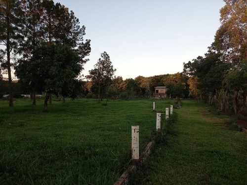 Imagem 17 de 18 de Chácara Com 2 Dormitórios À Venda, 10000 M² Por R$ 750.000,00 - Loteamento Porto Dourado - Foz Do Iguaçu/pr - Ch0020