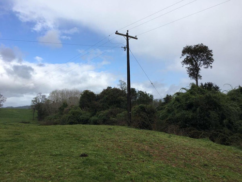 Hermosa Parcela En Rapaco Sector Los Canales La Union