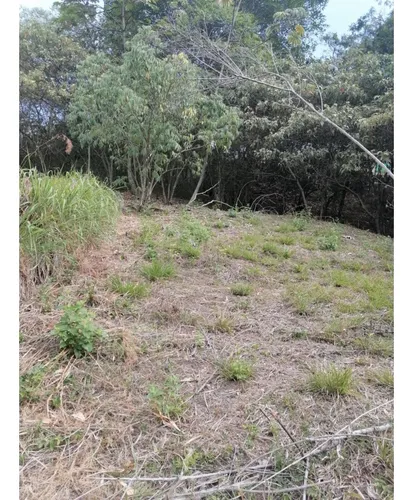 Venta Lote Campestre De 2.000 Mts2, Vereda Los Andes, Cali. 12955-1.