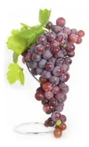 Comprar Parra De Uva Red Globe Árbol Frutal Injertado